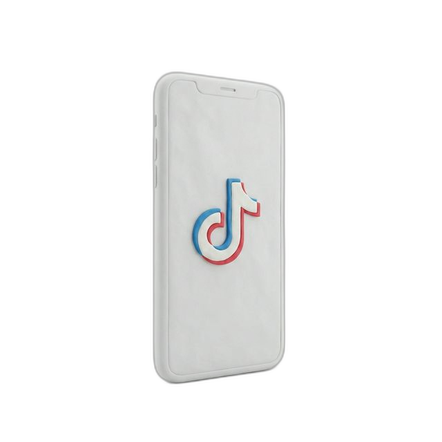 TikTok Phone